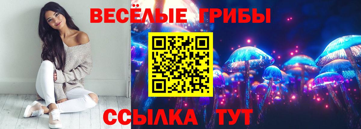 Галлюциногенные грибы ЛСД  Вход с VPN  Сыктывкар  Галлюциногенные грибы Psilocybe 